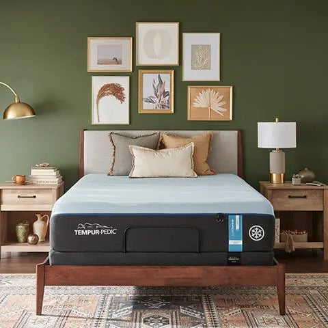 Tempur-Pedic Mattress and Adjustable Base