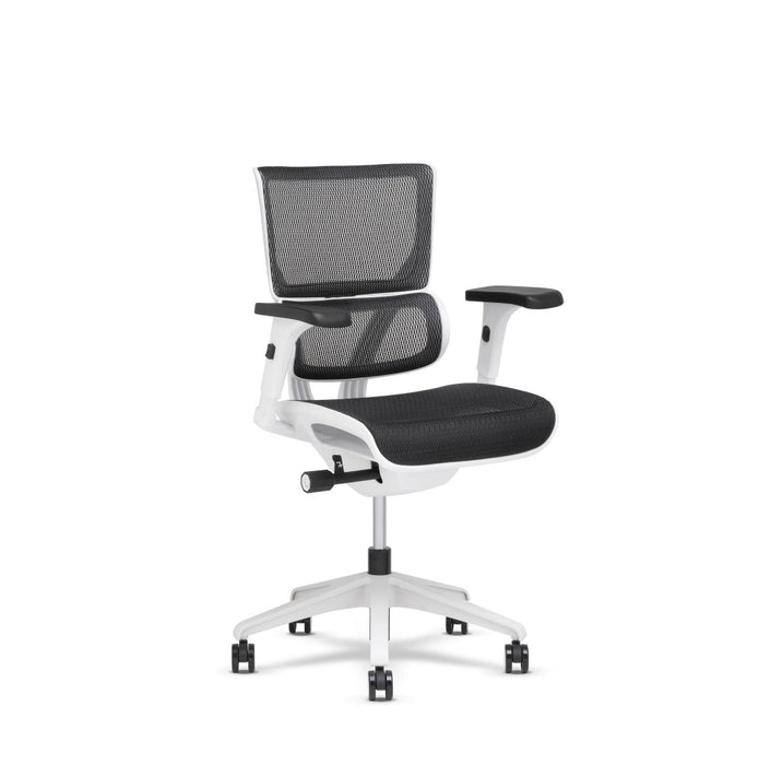Xs-Vision Small Management Chair by X-Chair
