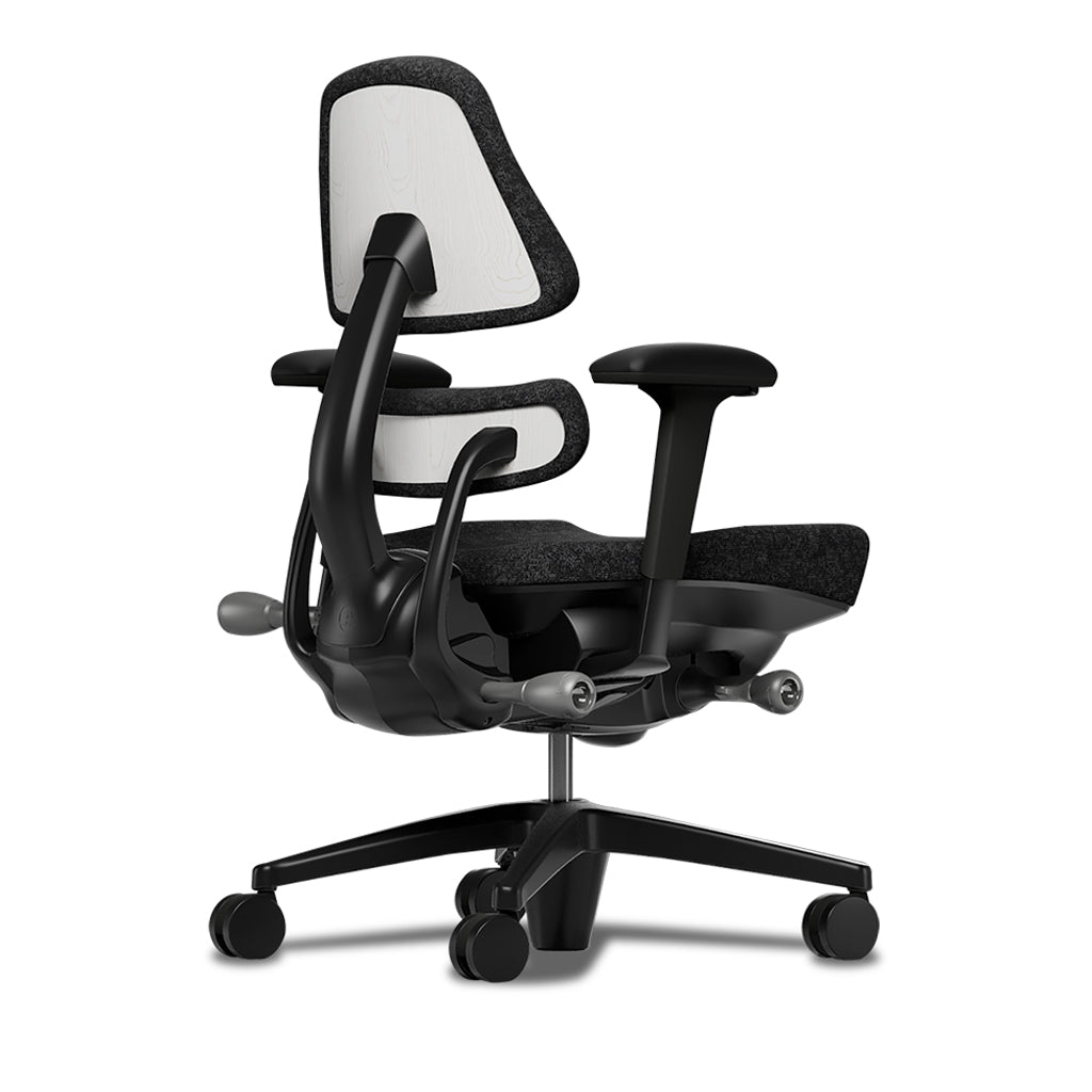 Ergonomic office chair with a black frame and onyx fabric, featuring a contoured seat, adjustable armrests, and supportive backrest for optimal posture and comfort.