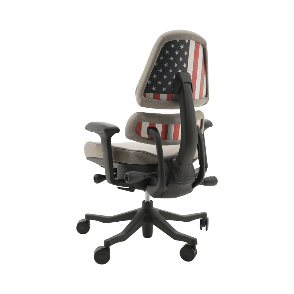 An ergonomic office chair with a high back, adjustable armrests, and a four-wheel base, shown from a rear angle on a white background.