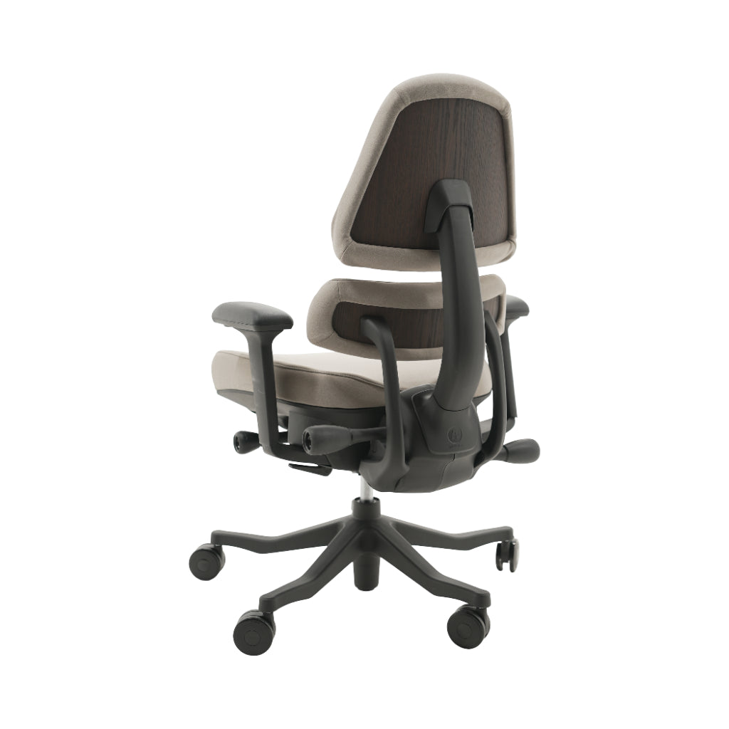 An ergonomic office chair with a high back, adjustable armrests, and a four-wheel base, shown from a rear angle on a white background.