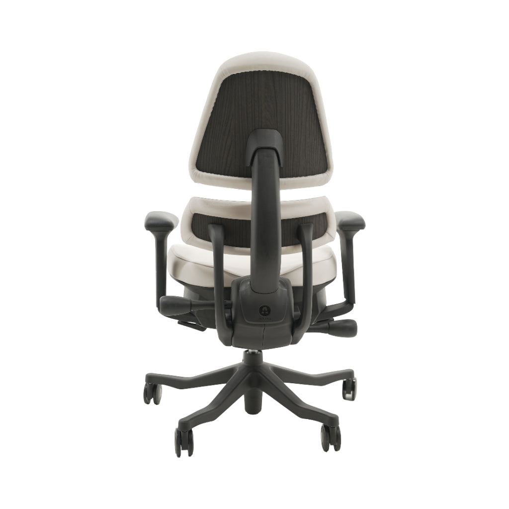 An ergonomic office chair with a high back, adjustable armrests, and a four-wheel base, shown from a rear angle on a white background.