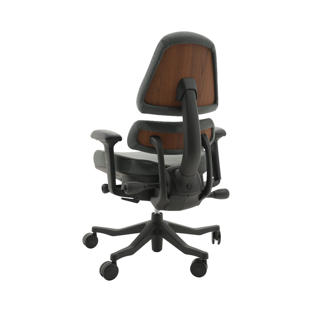 An ergonomic office chair with a high back, adjustable armrests, and a four-wheel base, shown from a rear angle on a white background.