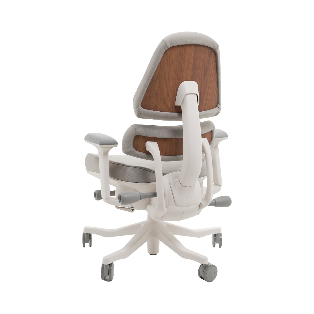 An ergonomic office chair with a high back, adjustable armrests, and a four-wheel base, shown from a rear angle on a white background.