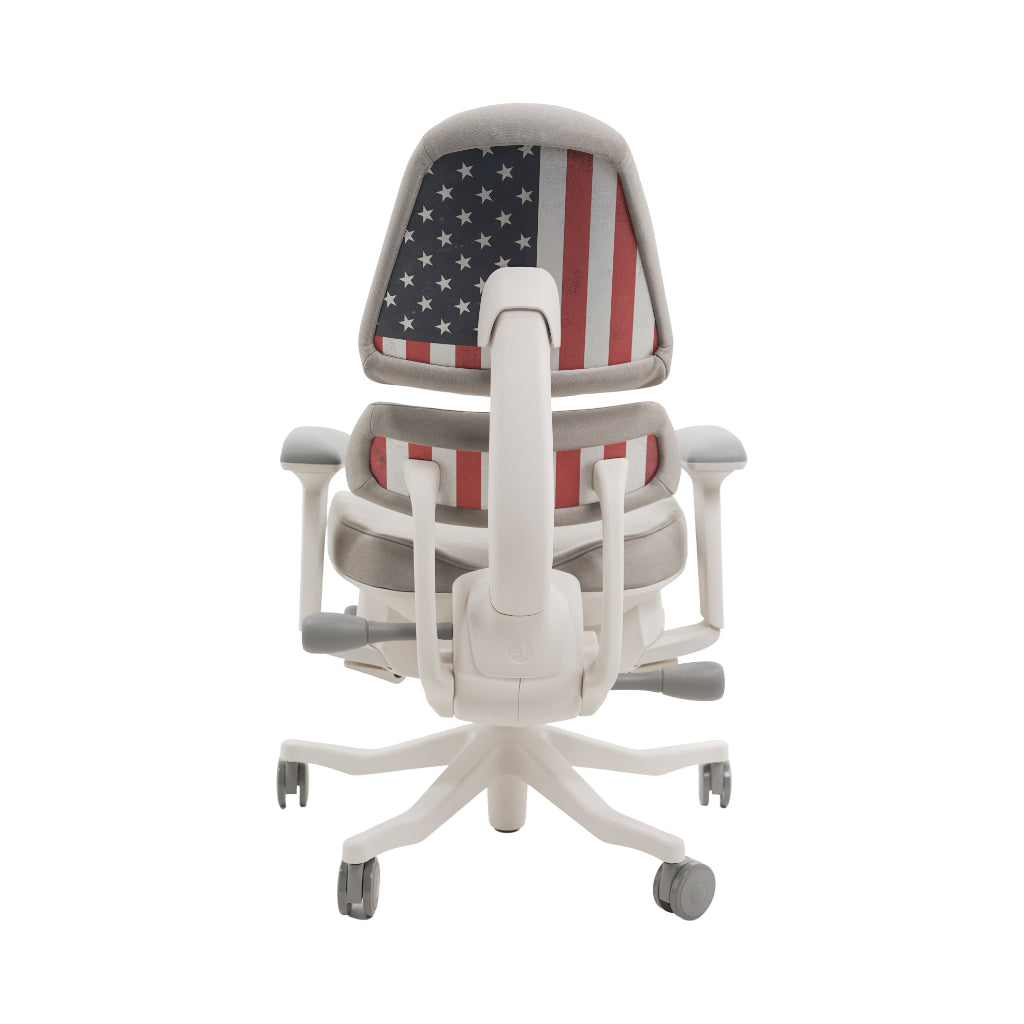 An ergonomic office chair with a high back, adjustable armrests, and a four-wheel base, shown from a rear angle on a white background.