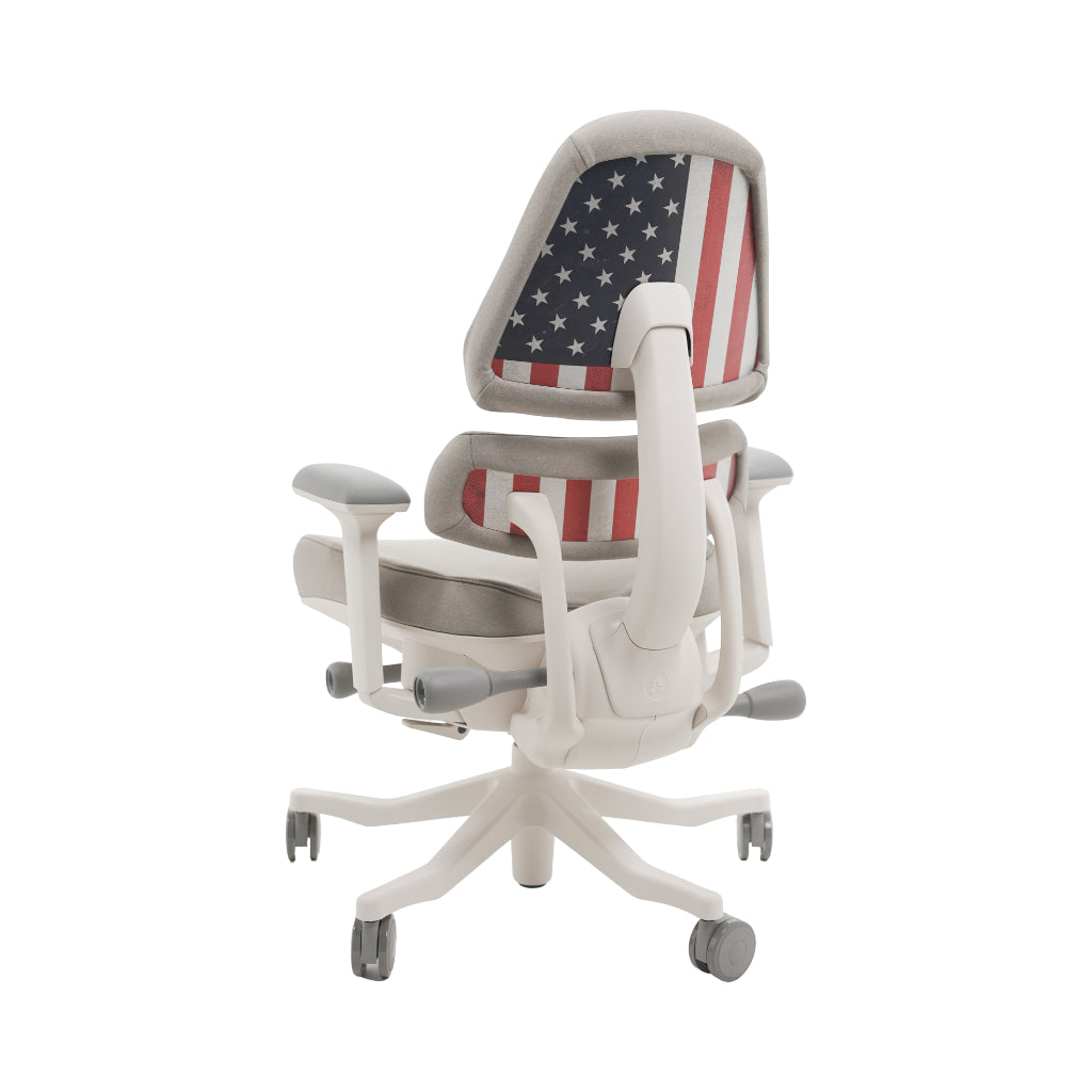 An ergonomic office chair with a high back, adjustable armrests, and a four-wheel base, shown from a rear angle on a white background.