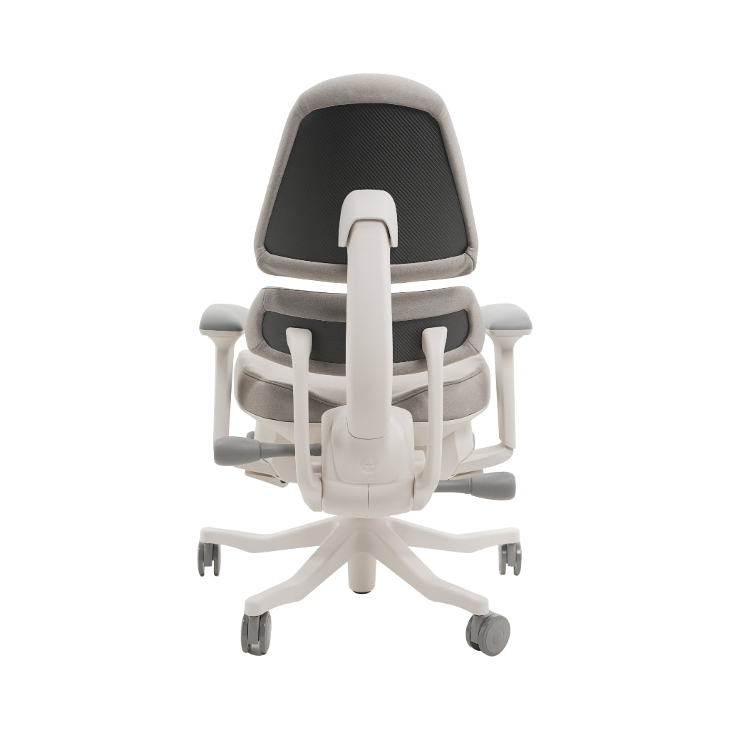 An ergonomic office chair with a high back, adjustable armrests, and a four-wheel base, shown from a rear angle on a white background.