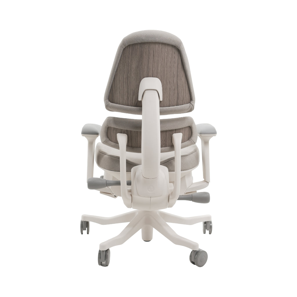 An ergonomic office chair with a high back, adjustable armrests, and a four-wheel base, shown from a rear angle on a white background.