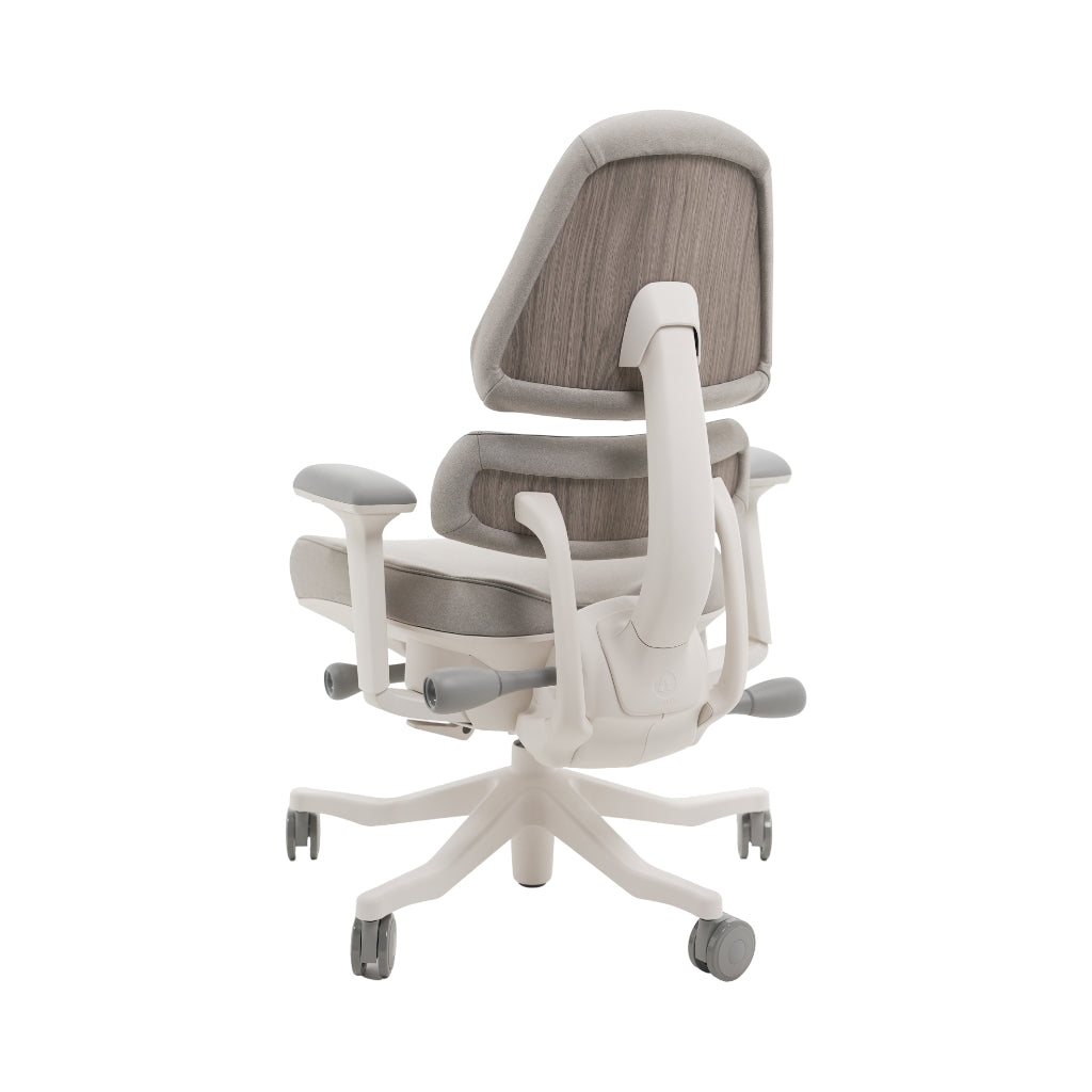 An ergonomic office chair with a high back, adjustable armrests, and a four-wheel base, shown from a rear angle on a white background.