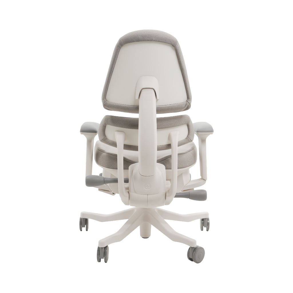 An ergonomic office chair with a high back, adjustable armrests, and a four-wheel base, shown from a rear angle on a white background.