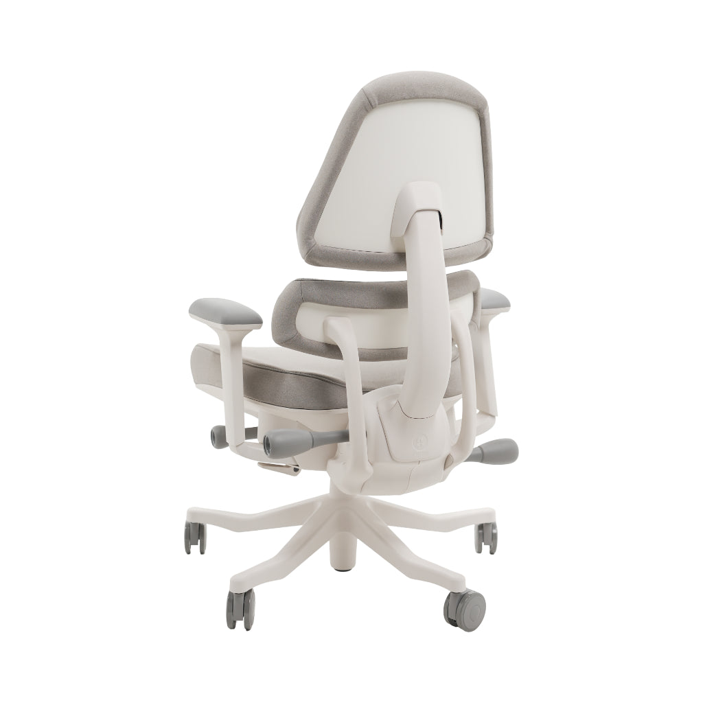 An ergonomic office chair with a high back, adjustable armrests, and a four-wheel base, shown from a rear angle on a white background.