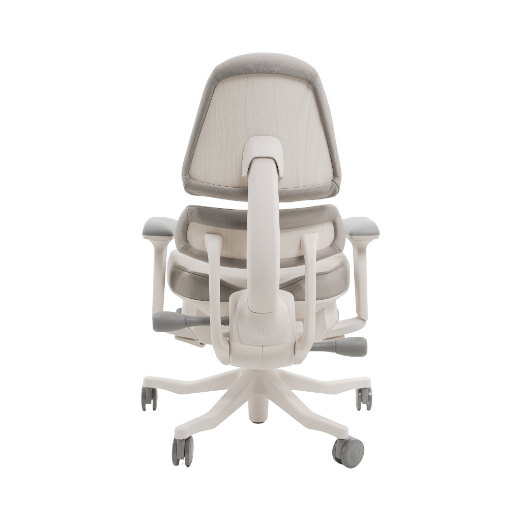 An ergonomic office chair with a high back, adjustable armrests, and a four-wheel base, shown from a rear angle on a white background.