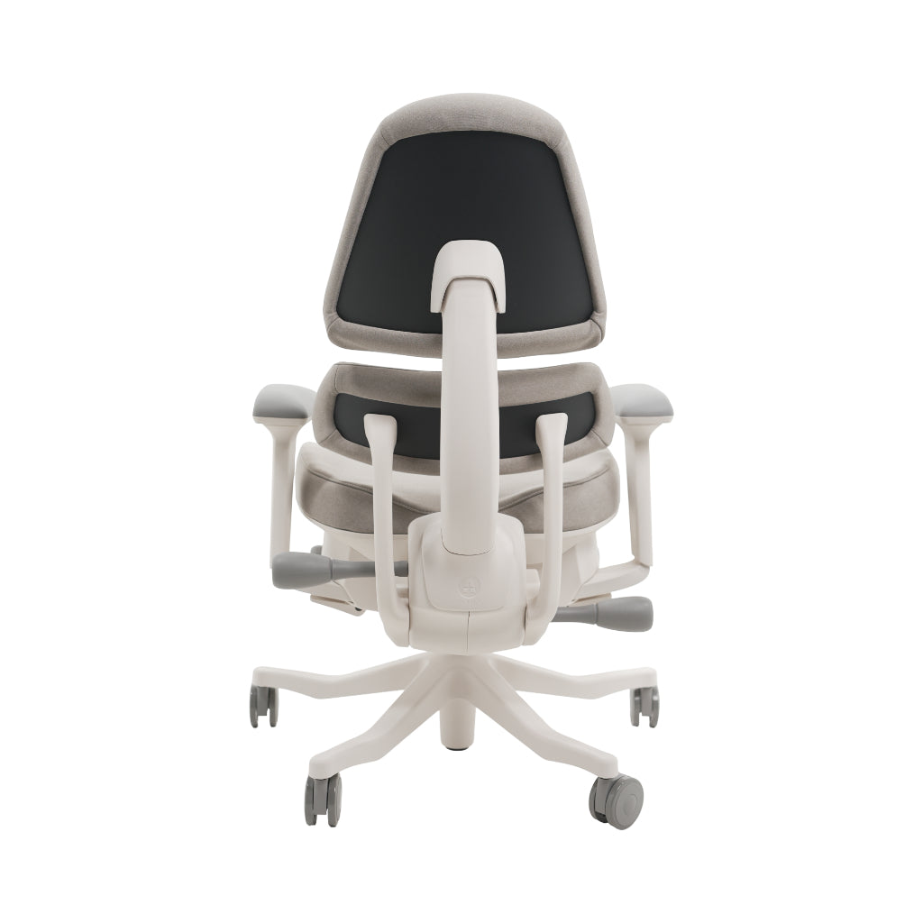 An ergonomic office chair with a high back, adjustable armrests, and a four-wheel base, shown from a rear angle on a white background.