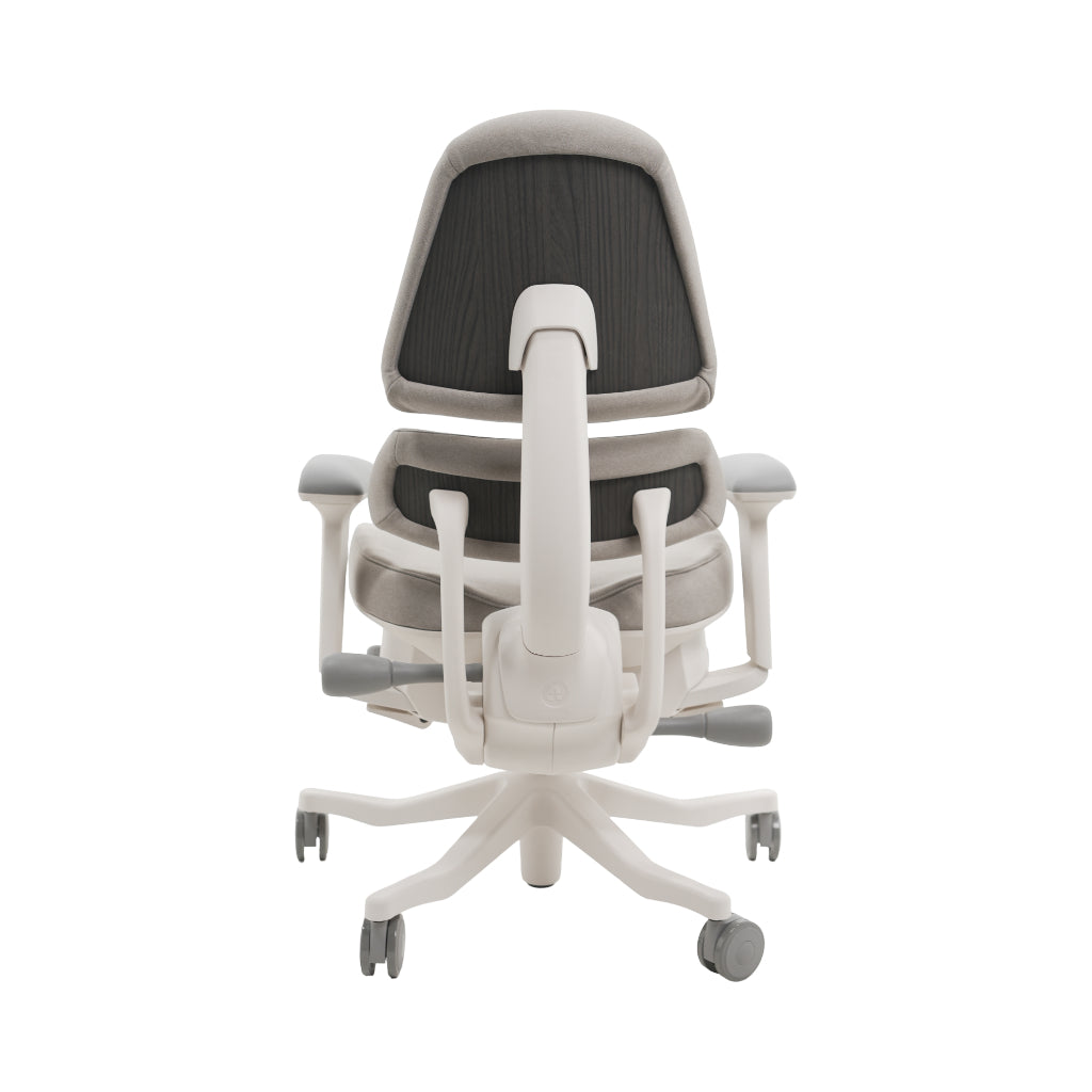 An ergonomic office chair with a high back, adjustable armrests, and a four-wheel base, shown from a rear angle on a white background.