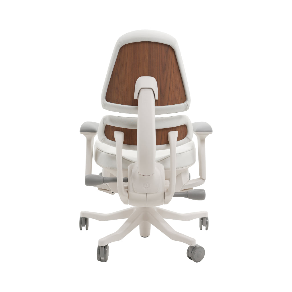 An ergonomic office chair with a high back, adjustable armrests, and a four-wheel base, shown from a rear angle on a white background.