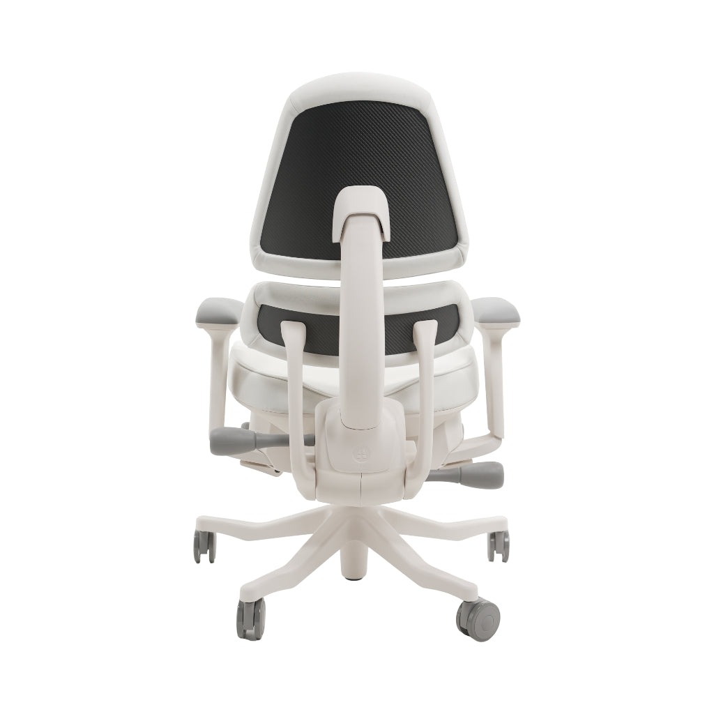 An ergonomic office chair with a high back, adjustable armrests, and a four-wheel base, shown from a rear angle on a white background.