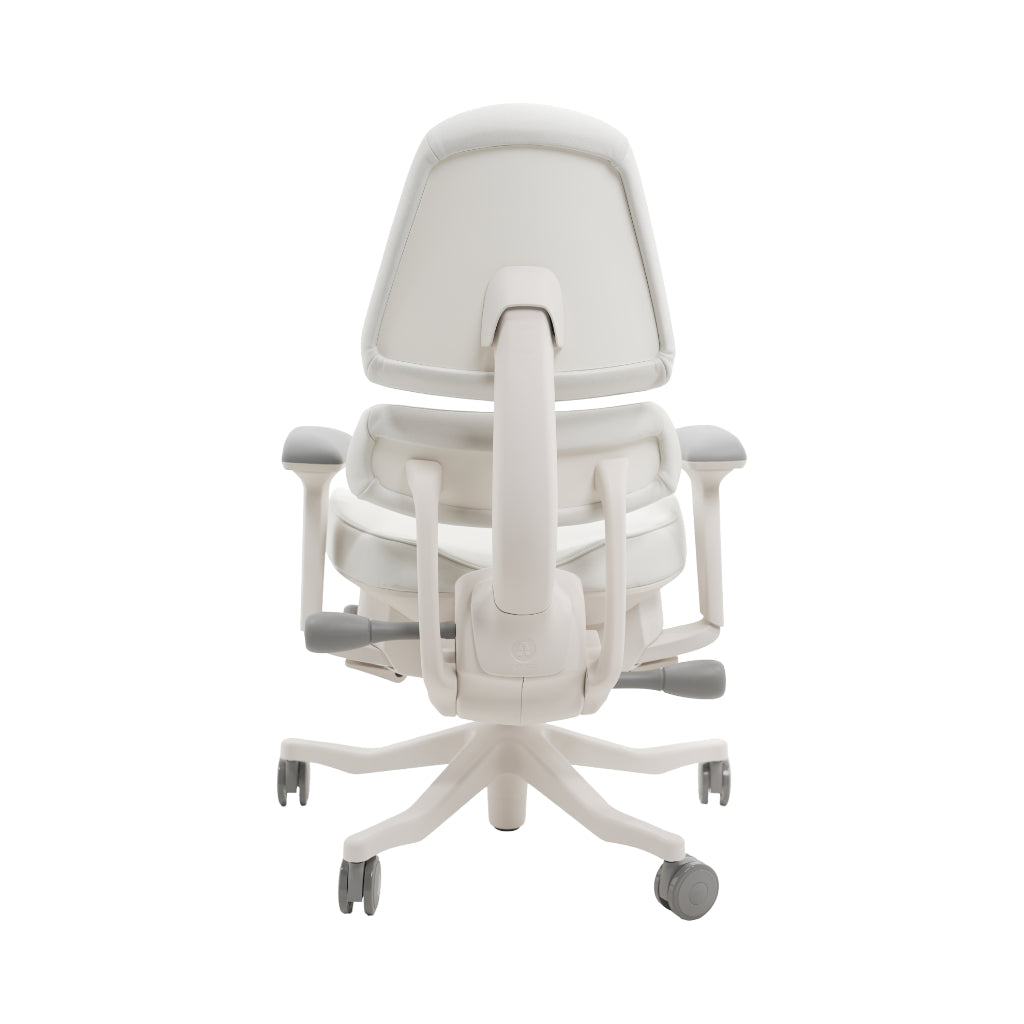 An ergonomic office chair with a high back, adjustable armrests, and a four-wheel base, shown from a rear angle on a white background.