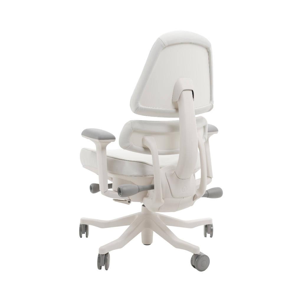 An ergonomic office chair with a high back, adjustable armrests, and a four-wheel base, shown from a rear angle on a white background.