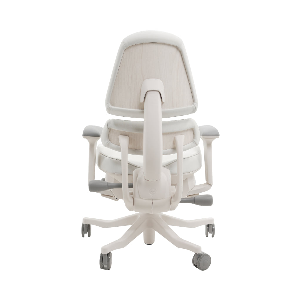 An ergonomic office chair with a high back, adjustable armrests, and a four-wheel base, shown from a rear angle on a white background.