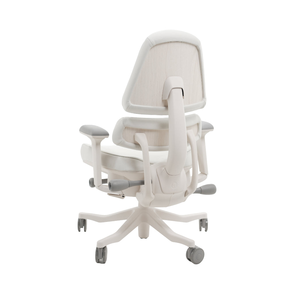 An ergonomic office chair with a high back, adjustable armrests, and a four-wheel base, shown from a rear angle on a white background.