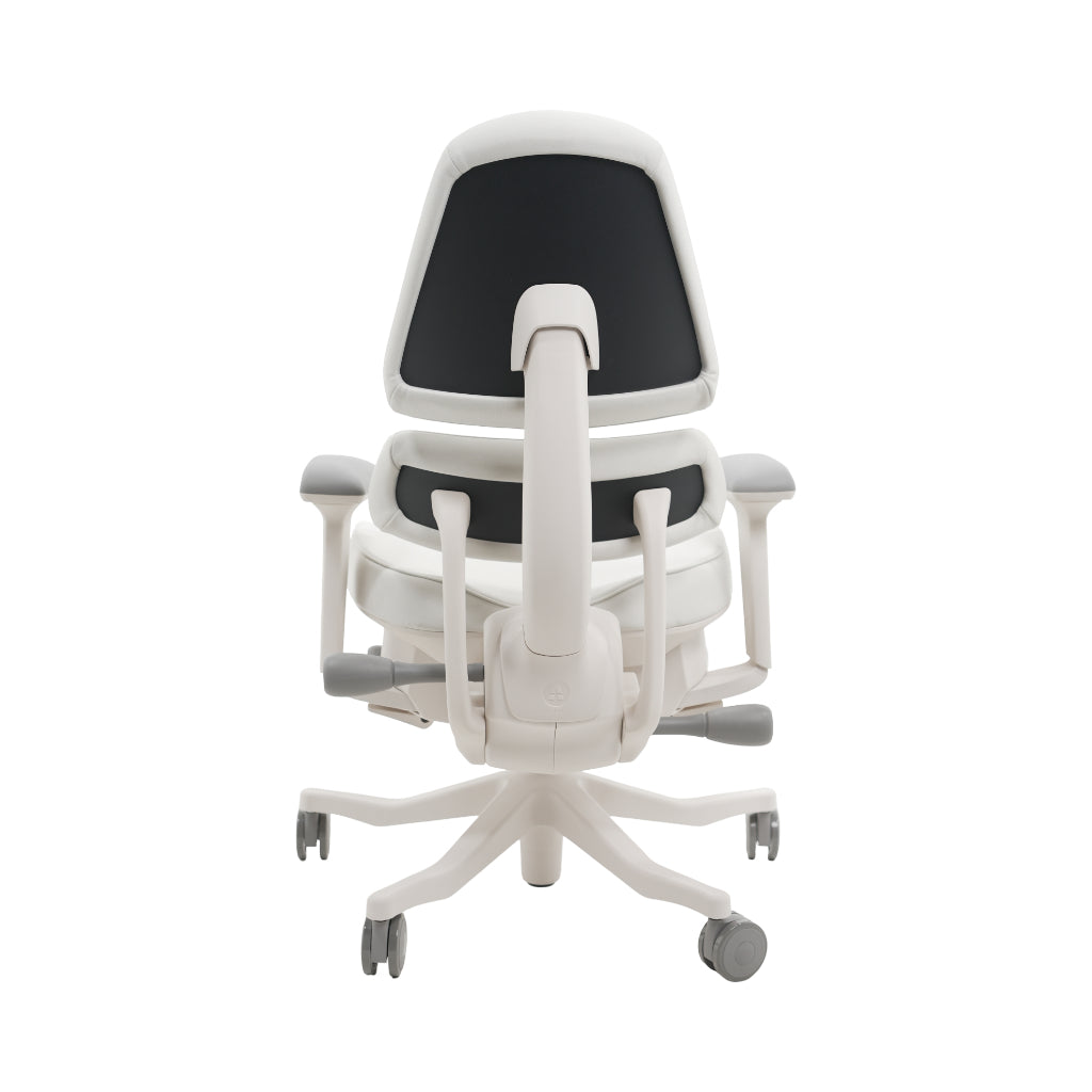 An ergonomic office chair with a high back, adjustable armrests, and a four-wheel base, shown from a rear angle on a white background.