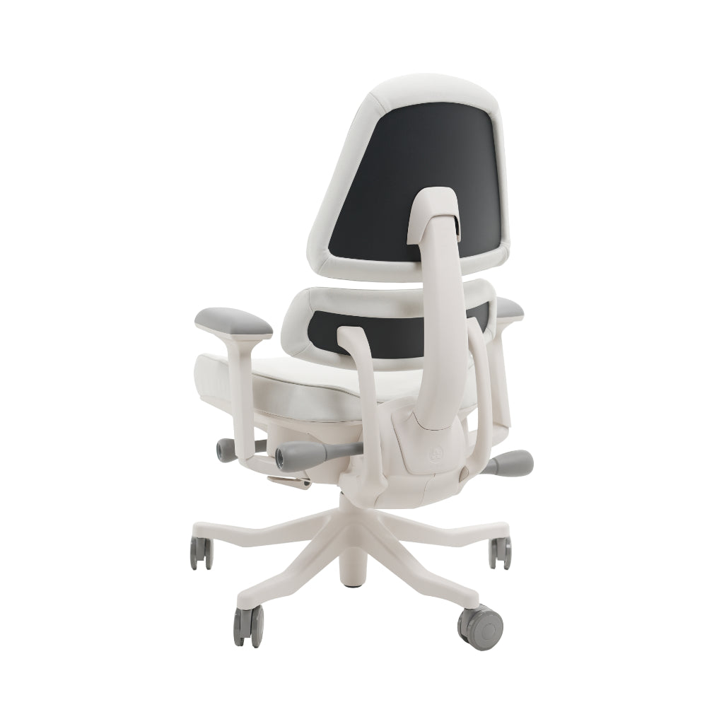 An ergonomic office chair with a high back, adjustable armrests, and a four-wheel base, shown from a rear angle on a white background.