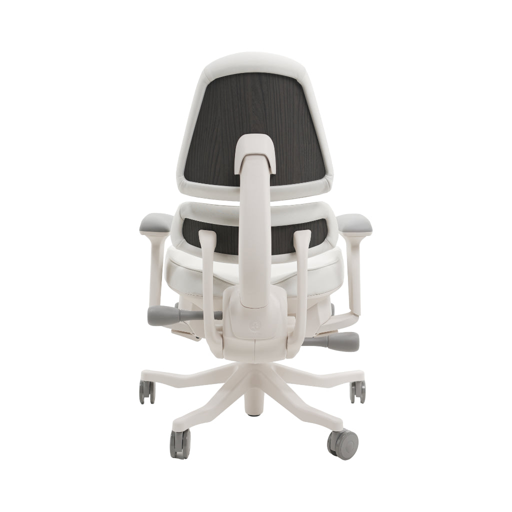 An ergonomic office chair with a high back, adjustable armrests, and a four-wheel base, shown from a rear angle on a white background.