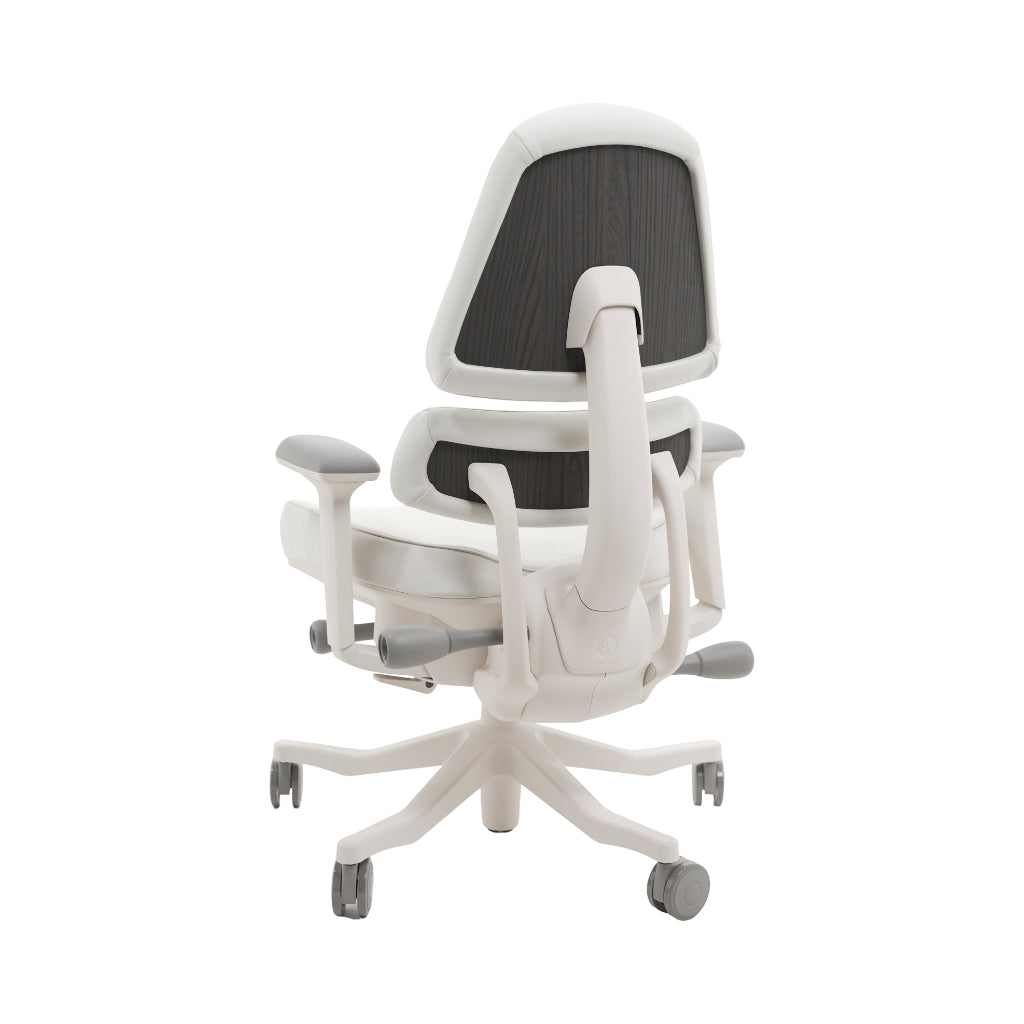 An ergonomic office chair with a high back, adjustable armrests, and a four-wheel base, shown from a rear angle on a white background.
