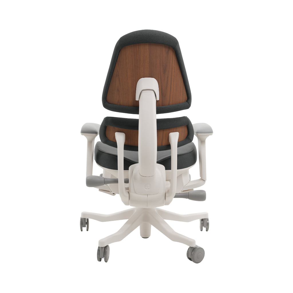 An ergonomic office chair with a high back, adjustable armrests, and a four-wheel base, shown from a rear angle on a white background.
