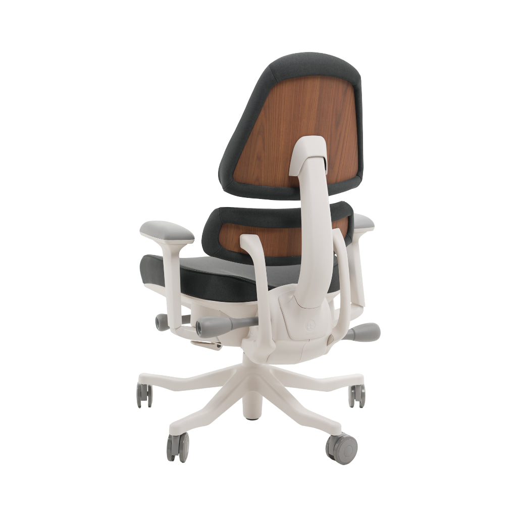 An ergonomic office chair with a high back, adjustable armrests, and a four-wheel base, shown from a rear angle on a white background.