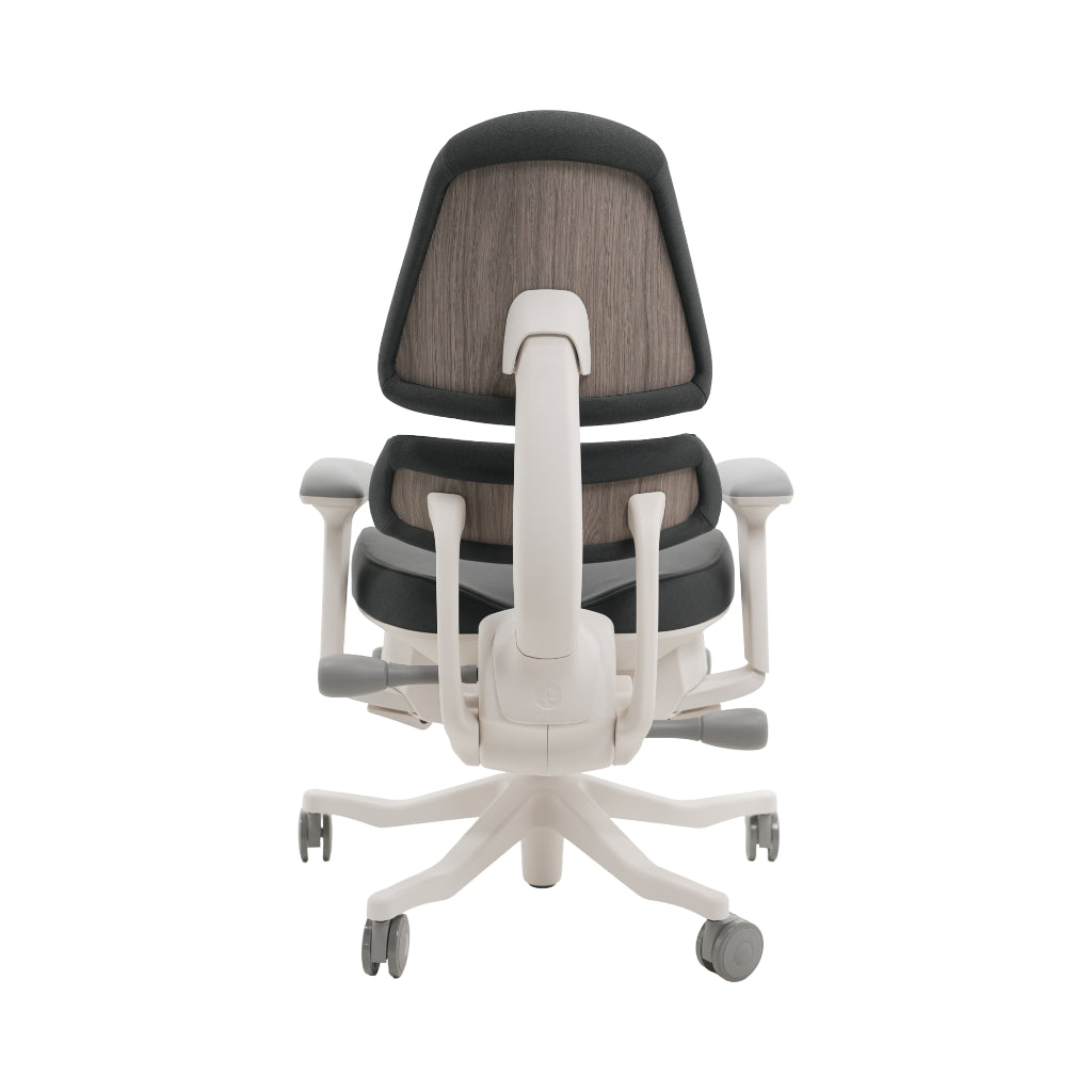 An ergonomic office chair with a high back, adjustable armrests, and a four-wheel base, shown from a rear angle on a white background.