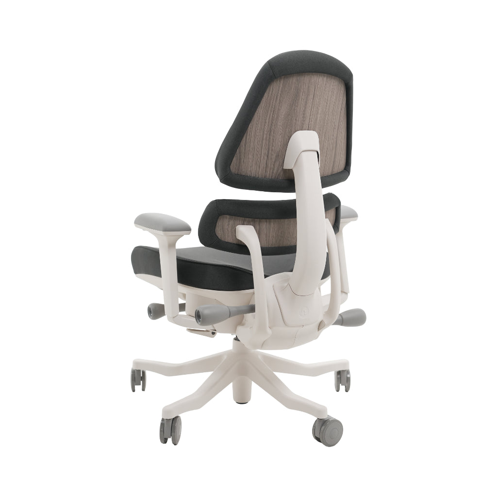 An ergonomic office chair with a high back, adjustable armrests, and a four-wheel base, shown from a rear angle on a white background.