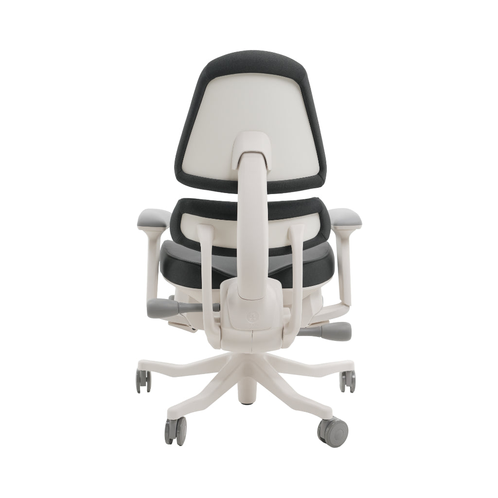 An ergonomic office chair with a high back, adjustable armrests, and a four-wheel base, shown from a rear angle on a white background.