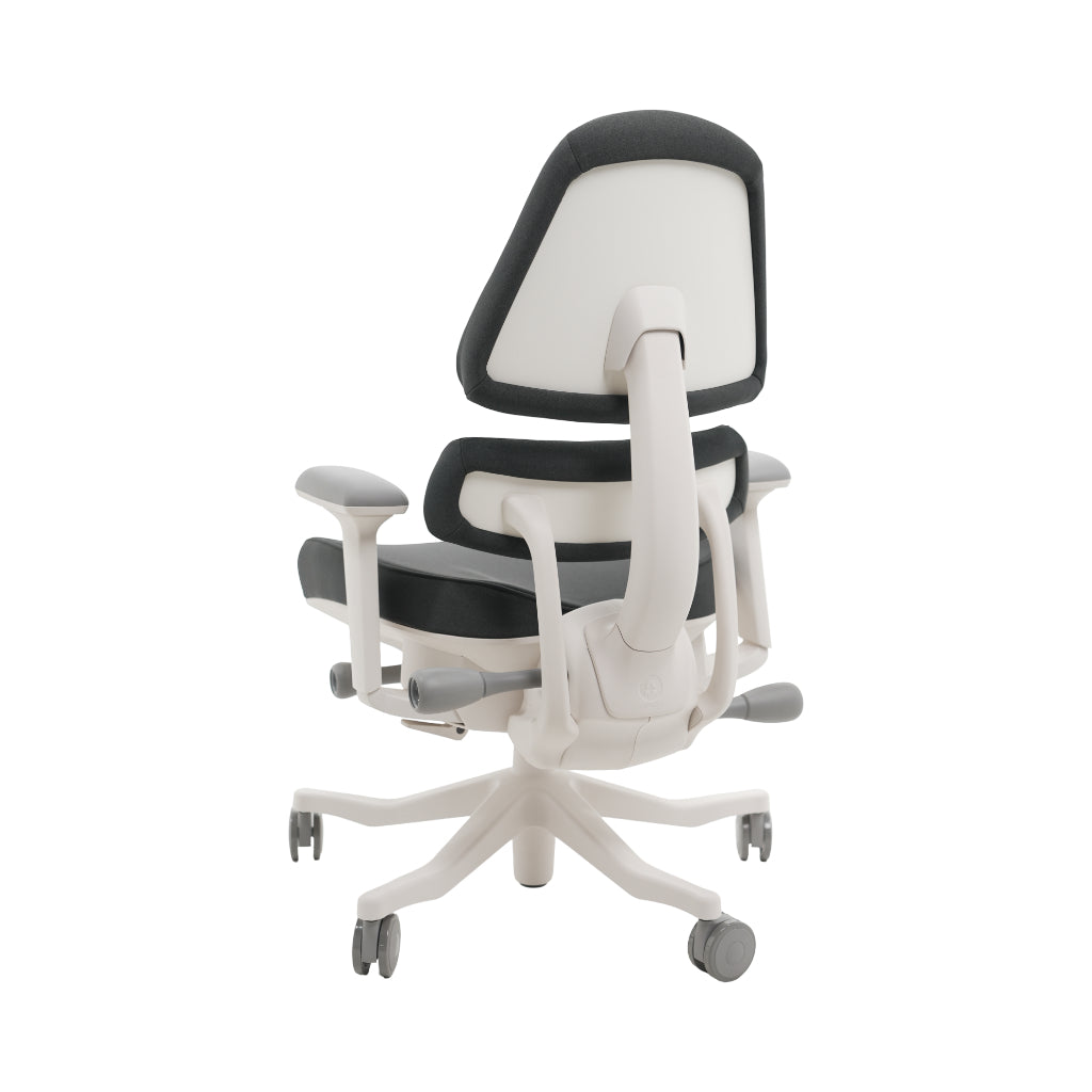 An ergonomic office chair with a high back, adjustable armrests, and a four-wheel base, shown from a rear angle on a white background.