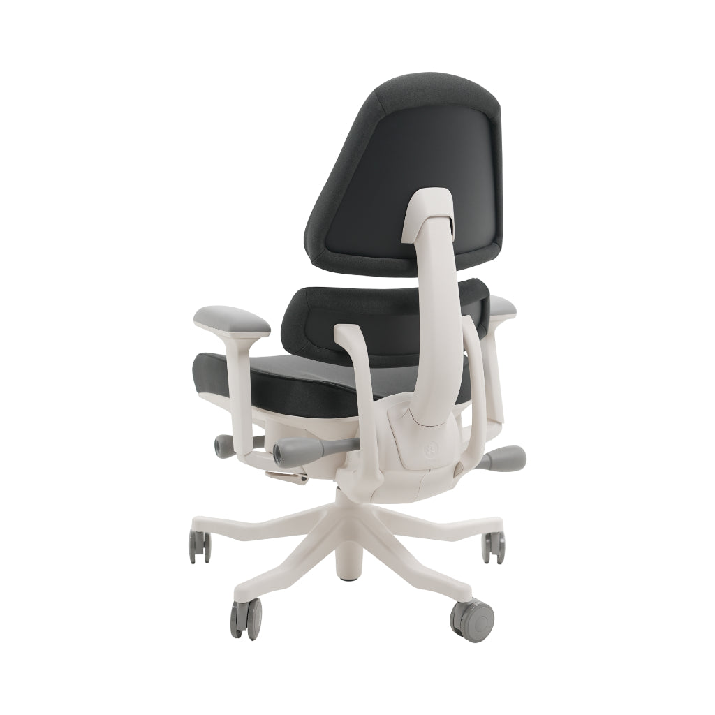 An ergonomic office chair with a high back, adjustable armrests, and a four-wheel base, shown from a rear angle on a white background.
