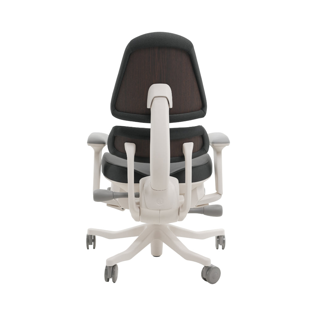 An ergonomic office chair with a high back, adjustable armrests, and a four-wheel base, shown from a rear angle on a white background.
