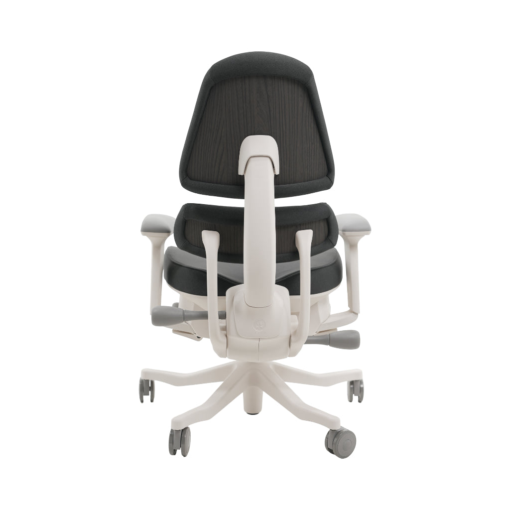 An ergonomic office chair with a high back, adjustable armrests, and a four-wheel base, shown from a rear angle on a white background.