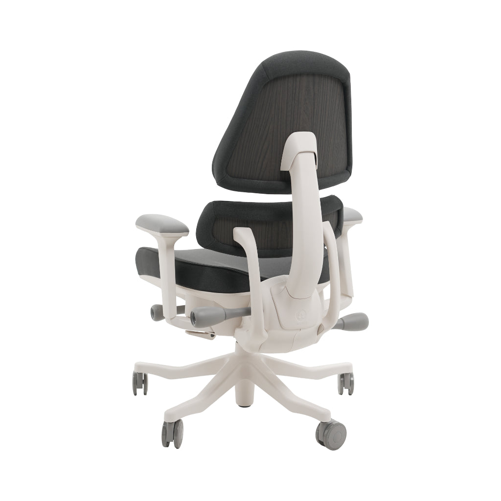 An ergonomic office chair with a high back, adjustable armrests, and a four-wheel base, shown from a rear angle on a white background.
