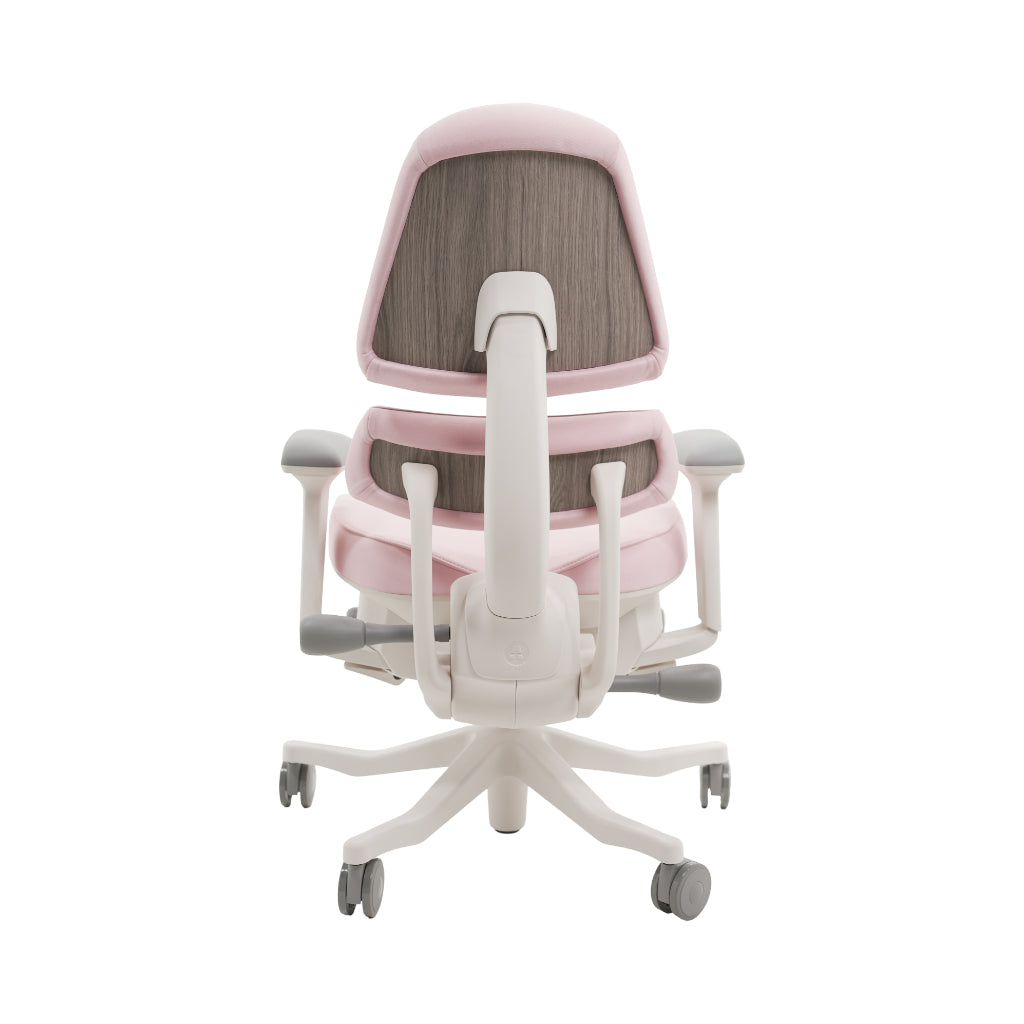 An ergonomic office chair with a high back, adjustable armrests, and a four-wheel base, shown from a rear angle on a white background.