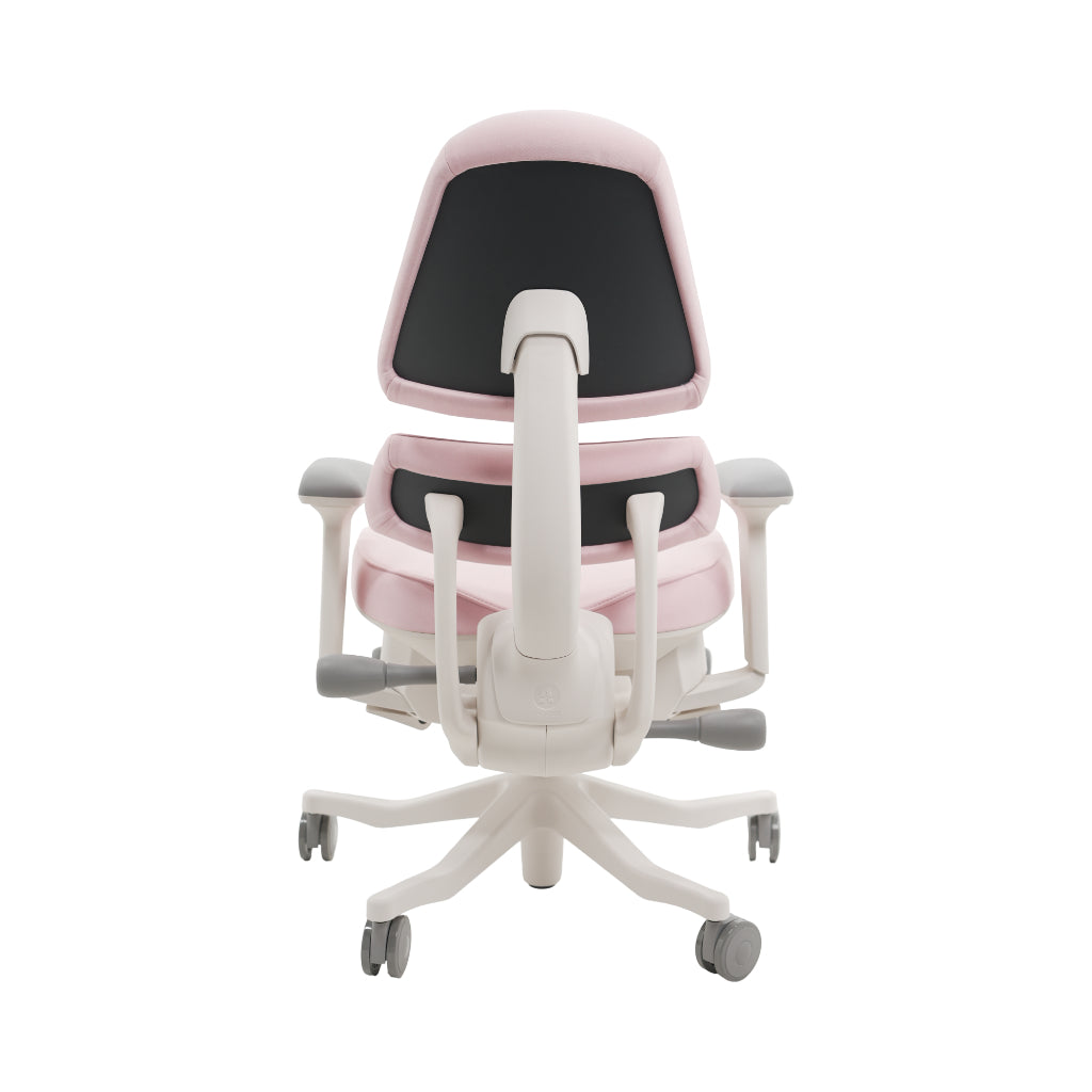 An ergonomic office chair with a high back, adjustable armrests, and a four-wheel base, shown from a rear angle on a white background.