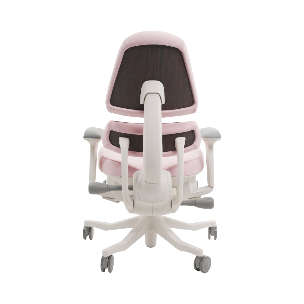 An ergonomic office chair with a high back, adjustable armrests, and a four-wheel base, shown from a rear angle on a white background.