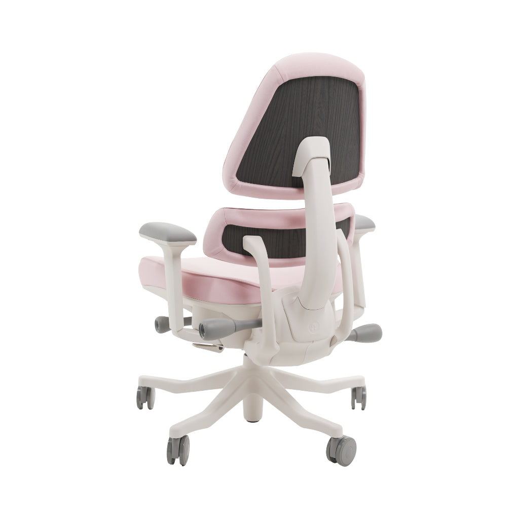 An ergonomic office chair with a high back, adjustable armrests, and a four-wheel base, shown from a rear angle on a white background.
