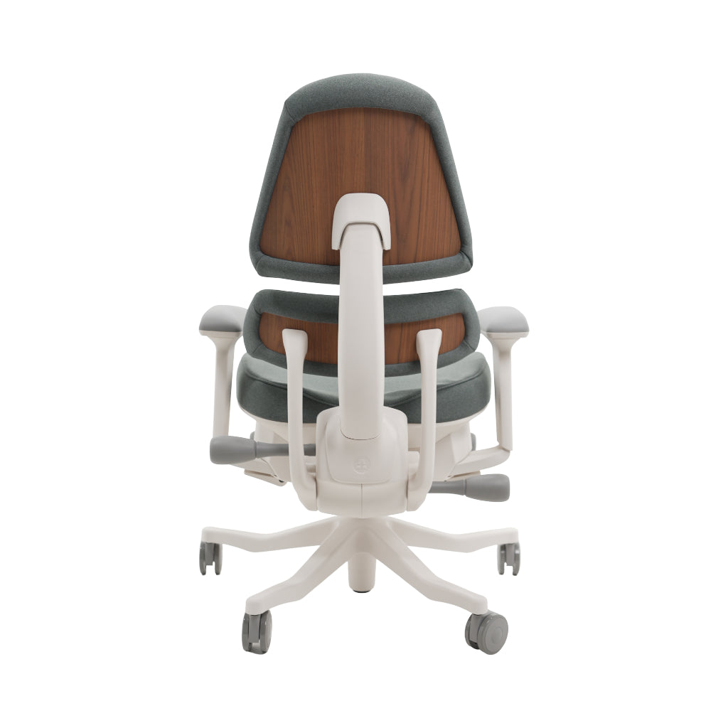 An ergonomic office chair with a high back, adjustable armrests, and a four-wheel base, shown from a rear angle on a white background.