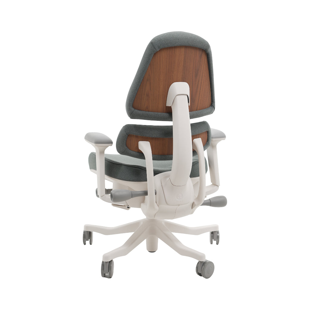 An ergonomic office chair with a high back, adjustable armrests, and a four-wheel base, shown from a rear angle on a white background.