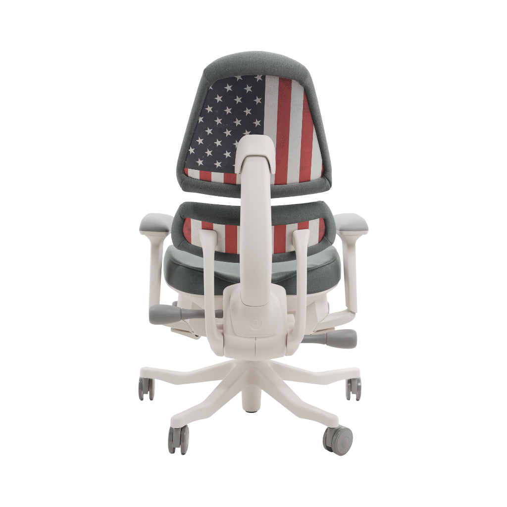 An ergonomic office chair with a high back, adjustable armrests, and a four-wheel base, shown from a rear angle on a white background.