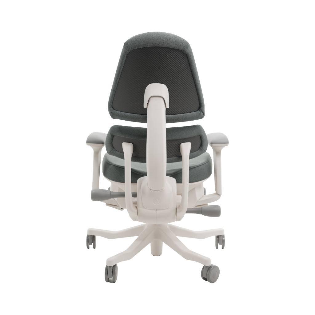 An ergonomic office chair with a high back, adjustable armrests, and a four-wheel base, shown from a rear angle on a white background.