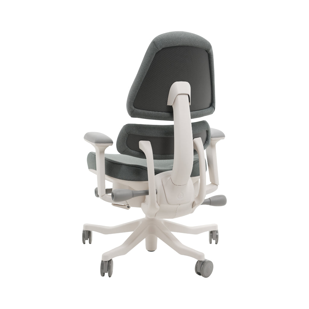 An ergonomic office chair with a high back, adjustable armrests, and a four-wheel base, shown from a rear angle on a white background.