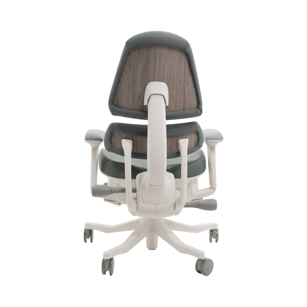 An ergonomic office chair with a high back, adjustable armrests, and a four-wheel base, shown from a rear angle on a white background.