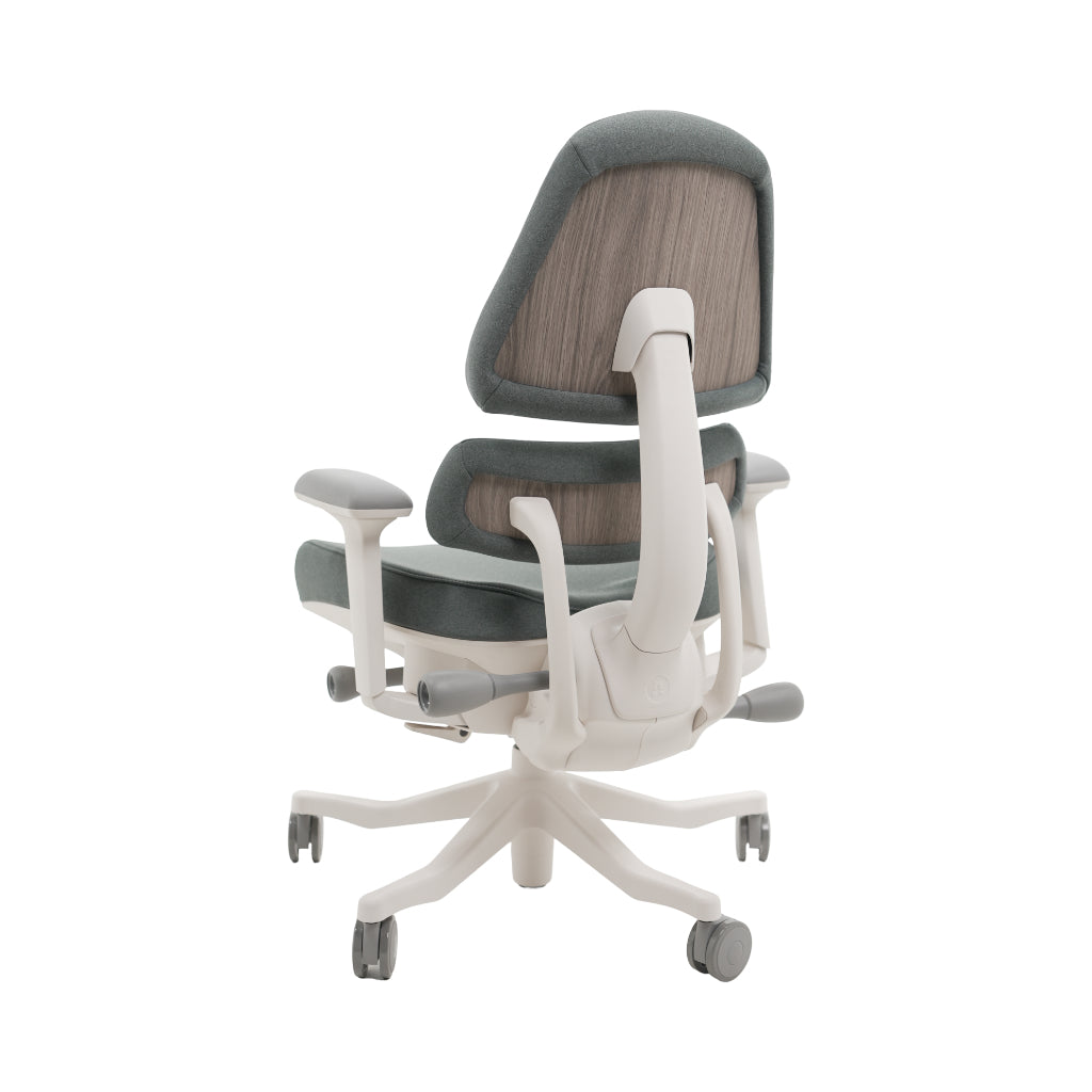 An ergonomic office chair with a high back, adjustable armrests, and a four-wheel base, shown from a rear angle on a white background.
