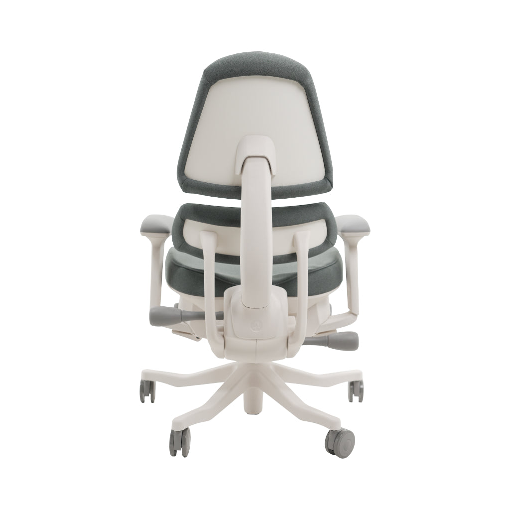 An ergonomic office chair with a high back, adjustable armrests, and a four-wheel base, shown from a rear angle on a white background.